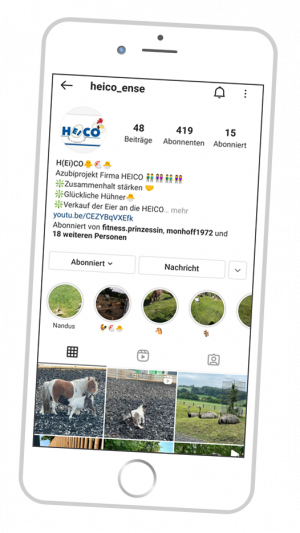 HEICO Chicken Bus trainee project on Instagram